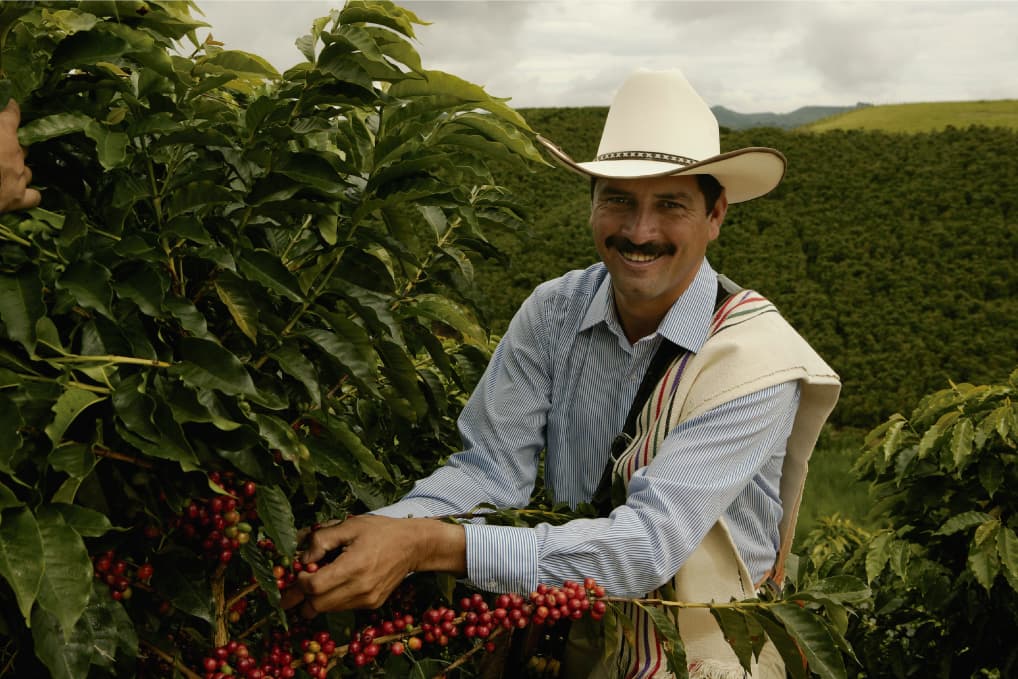 Café Juan Valdes  2