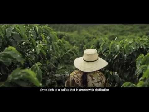 Café Juan Valdes 
