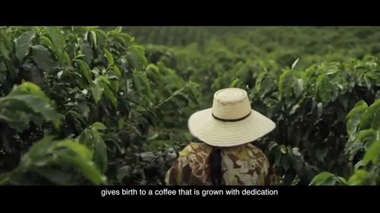 Video de Café Juan Valdes 