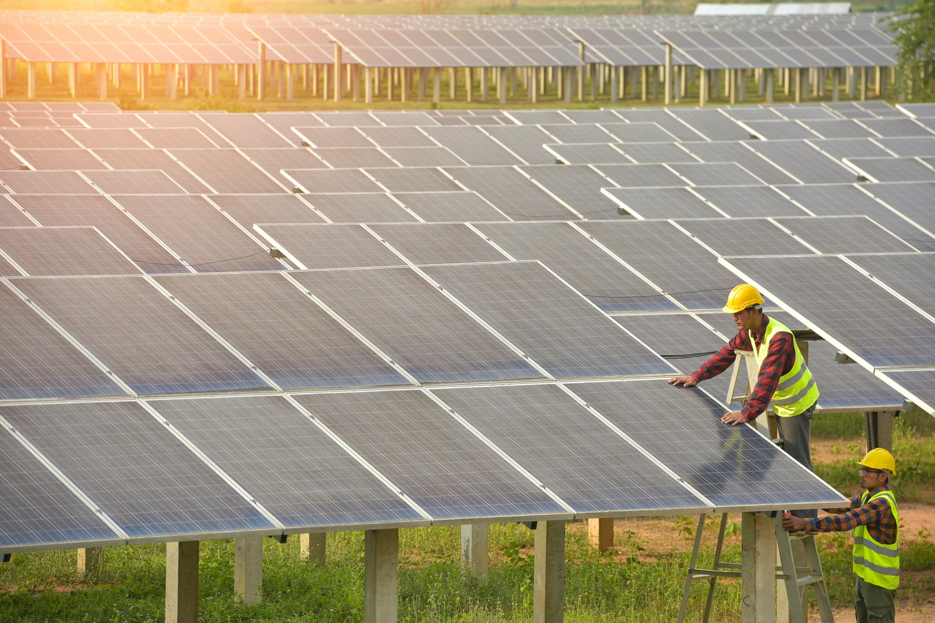 Una alianza solar